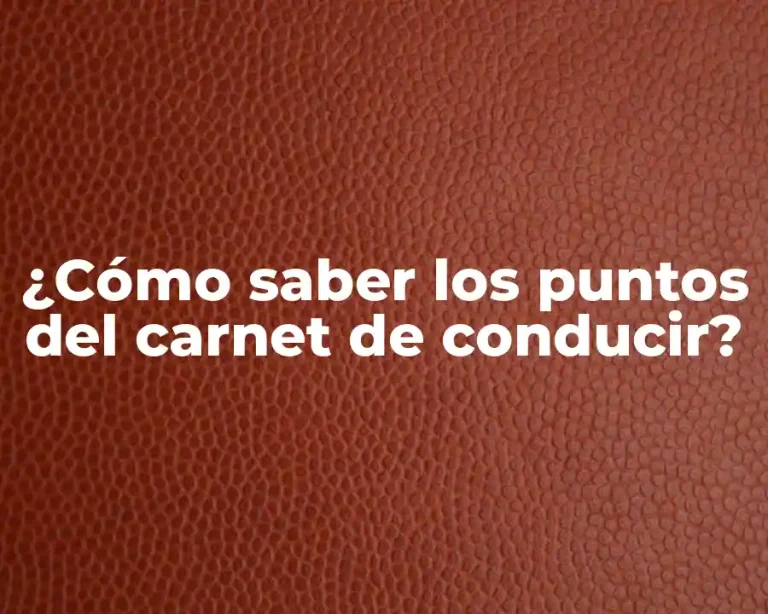 ¿Cómo saber los puntos del carnet de conducir?