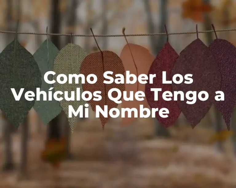 Como Saber Los Vehículos Que Tengo a Mi Nombre