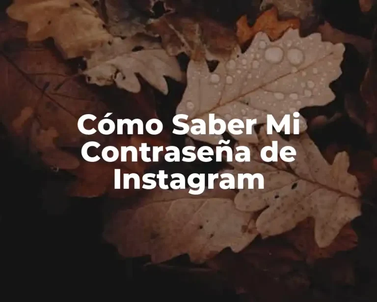 Cómo Saber Mi Contraseña de Instagram