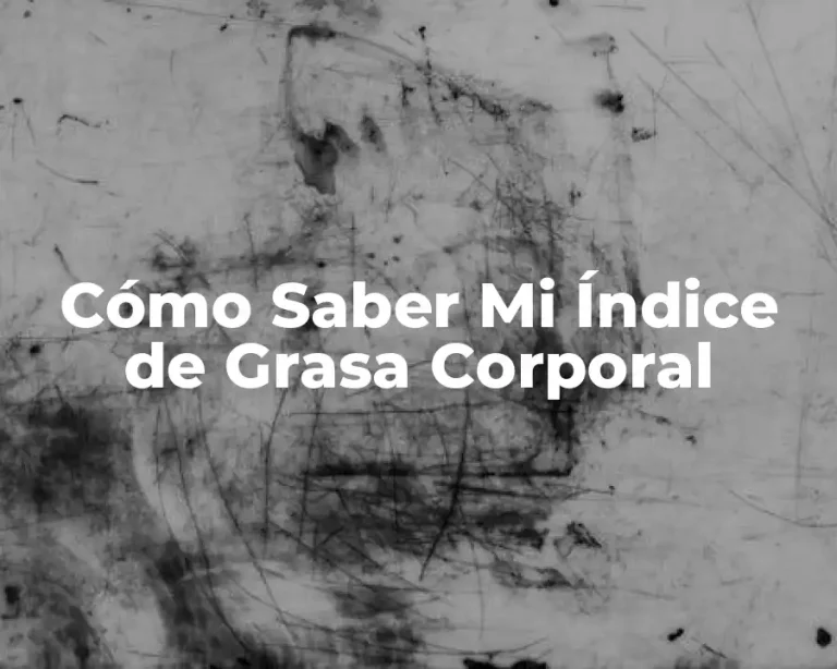 Cómo Saber Mi Índice de Grasa Corporal