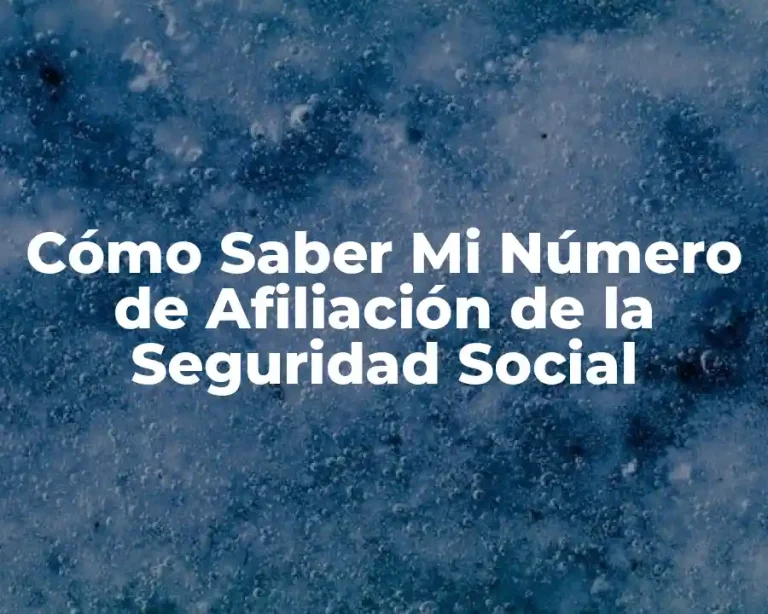 Cómo Saber Mi Número de Afiliación de la Seguridad Social