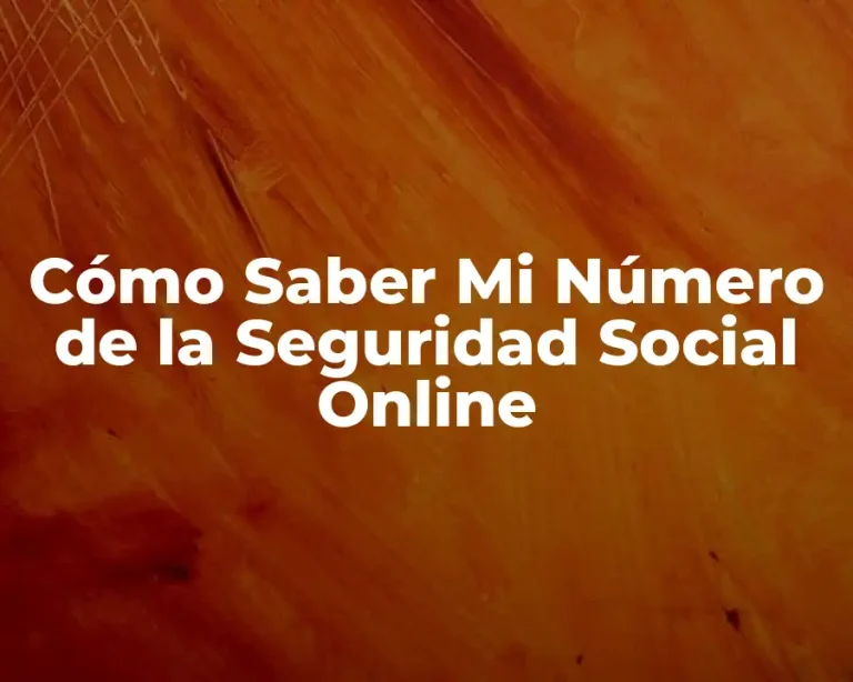 Cómo Saber Mi Número de la Seguridad Social Online