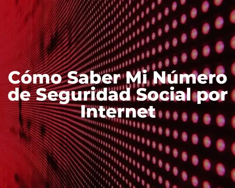 Cómo Saber Mi Número de Seguridad Social por Internet