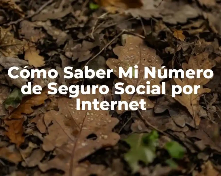 Cómo Saber Mi Número de Seguro Social por Internet