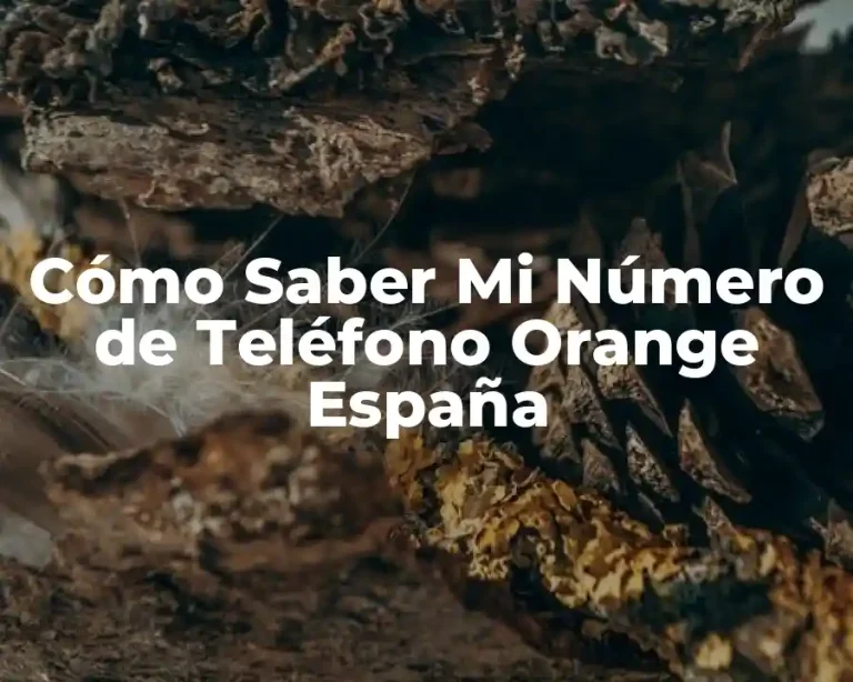 Cómo Saber Mi Número de Teléfono Orange España