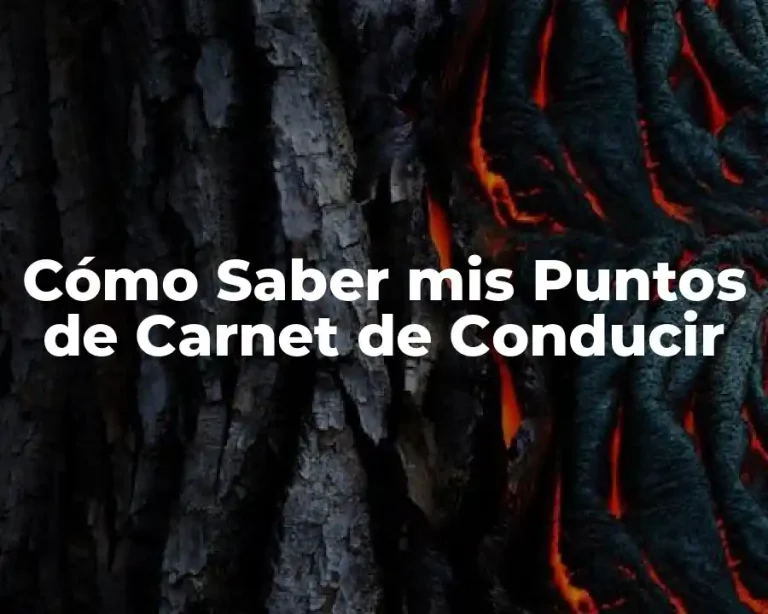 Cómo Saber mis Puntos de Carnet de Conducir