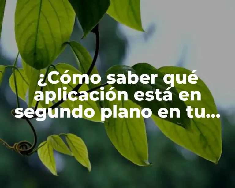 ¿Cómo saber qué aplicación está en segundo plano en tu dispositivo móvil?