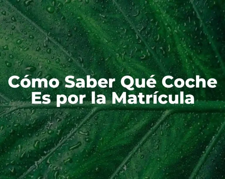 Cómo Saber Qué Coche Es por la Matrícula