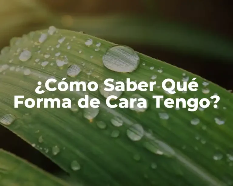 ¿Cómo Saber Qué Forma de Cara Tengo?