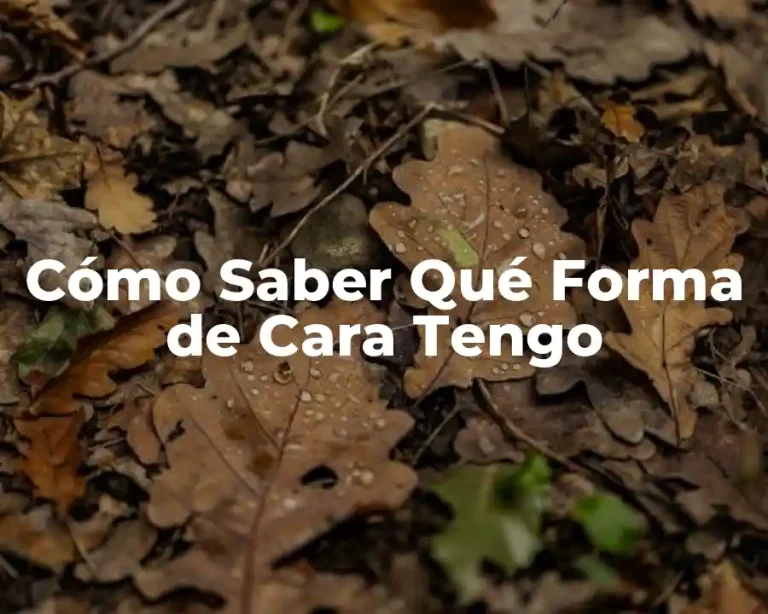 Cómo Saber Qué Forma de Cara Tengo