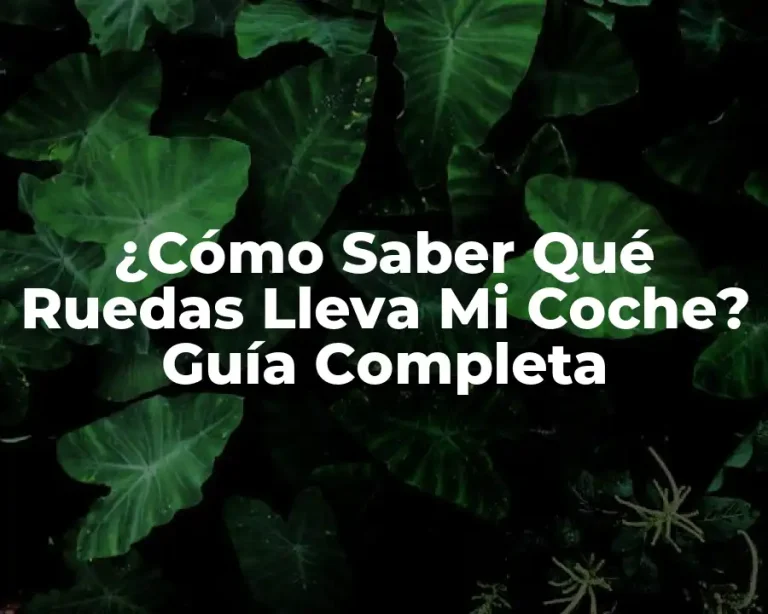 ¿Cómo Saber Qué Ruedas Lleva Mi Coche? Guía Completa