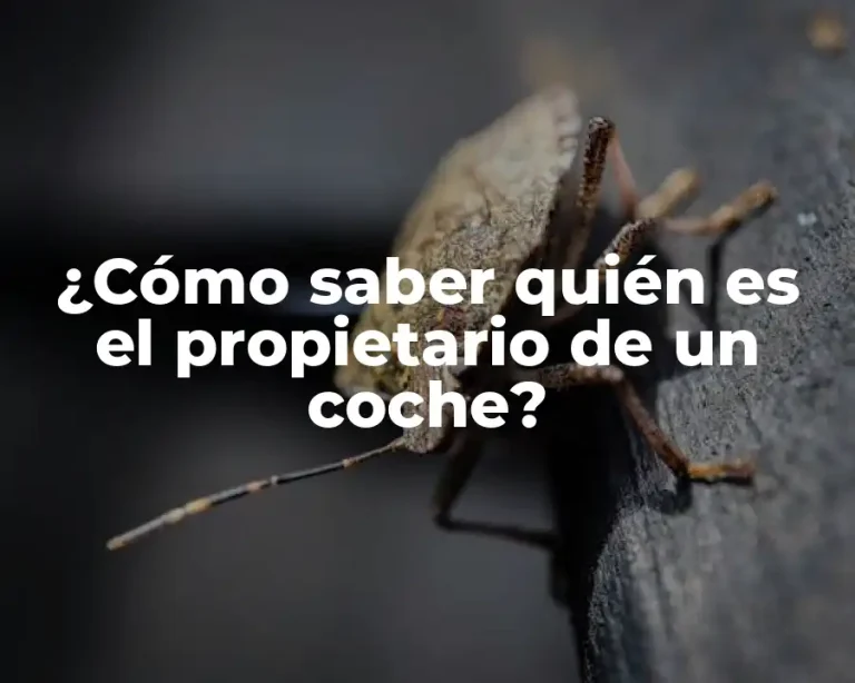 ¿Cómo saber quién es el propietario de un coche?