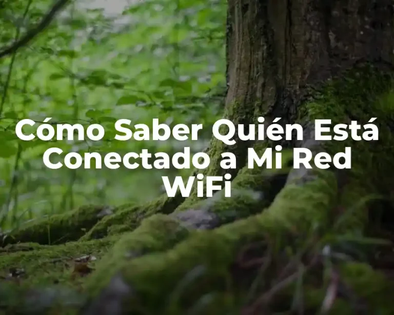 Cómo Saber Quién Está Conectado a Mi Red WiFi