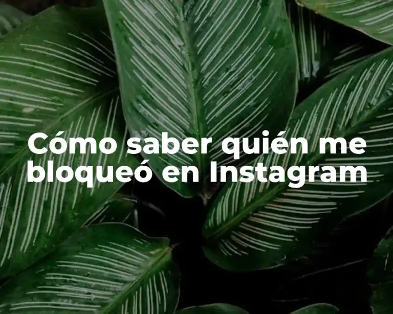 Cómo saber quién me bloqueó en Instagram