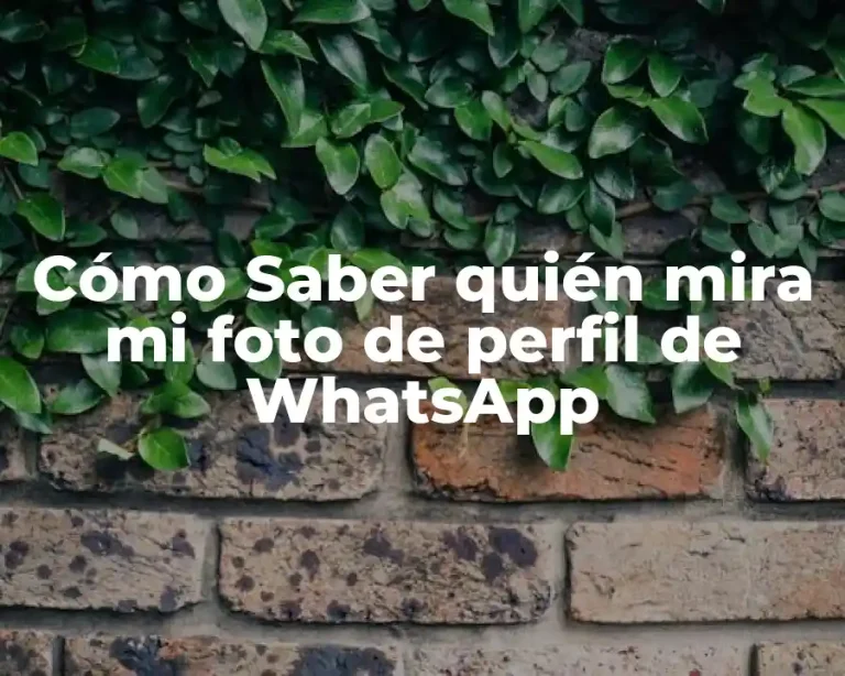 Cómo Saber quién mira mi foto de perfil de WhatsApp