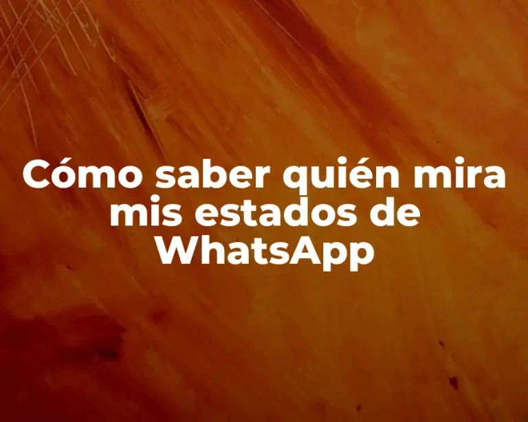 Cómo saber quién mira mis estados de WhatsApp