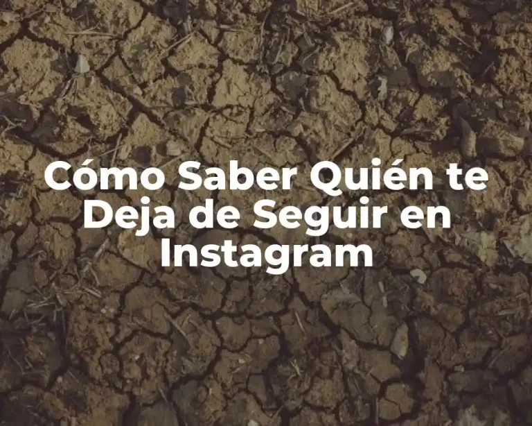 Cómo Saber Quién te Deja de Seguir en Instagram