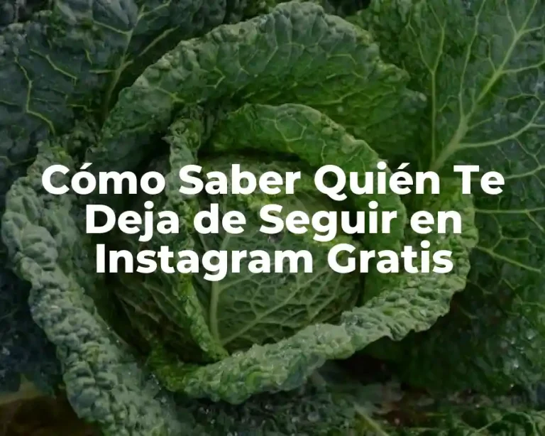 Cómo Saber Quién Te Deja de Seguir en Instagram Gratis
