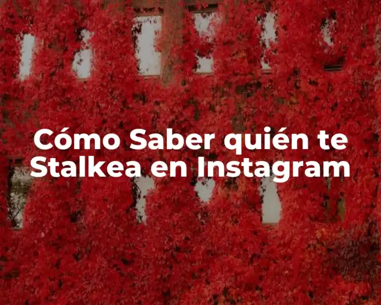 Cómo Saber quién te Stalkea en Instagram
