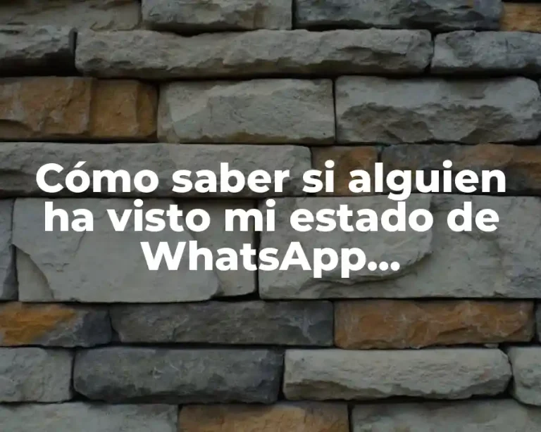 Cómo saber si alguien ha visto mi estado de WhatsApp exactamente