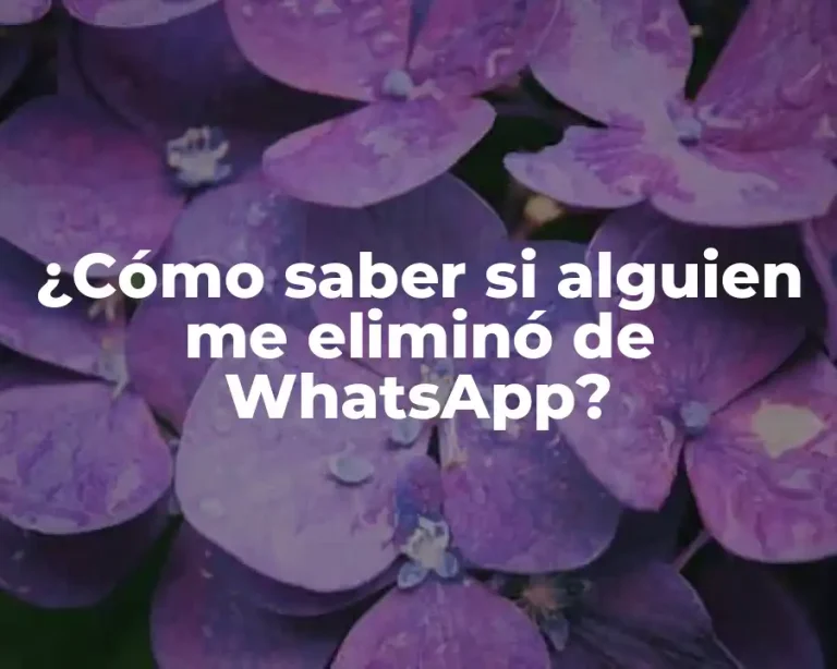 ¿Cómo saber si alguien me eliminó de WhatsApp?