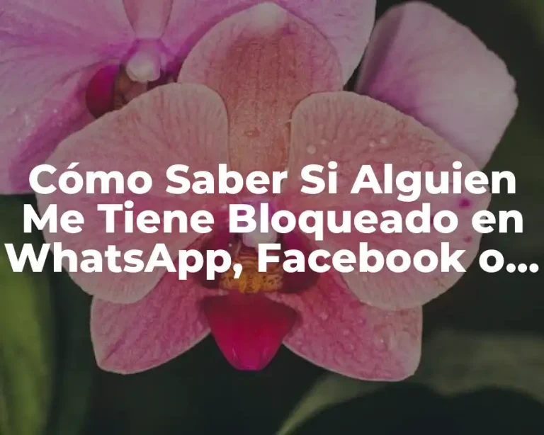 Cómo Saber Si Alguien Me Tiene Bloqueado en WhatsApp, Facebook o Instagram
