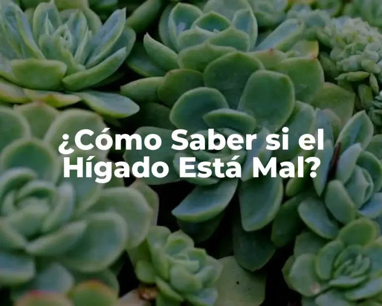 ¿Cómo Saber si el Hígado Está Mal?