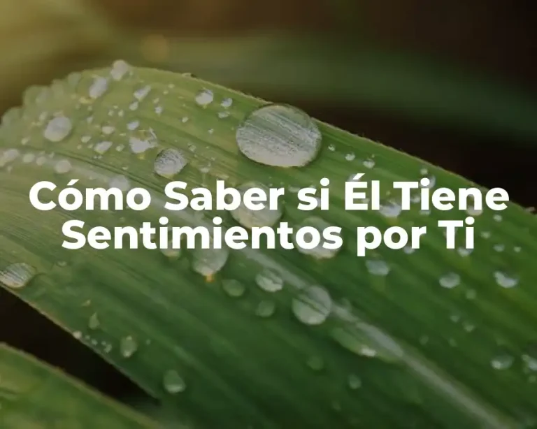 Cómo Saber si Él Tiene Sentimientos por Ti
