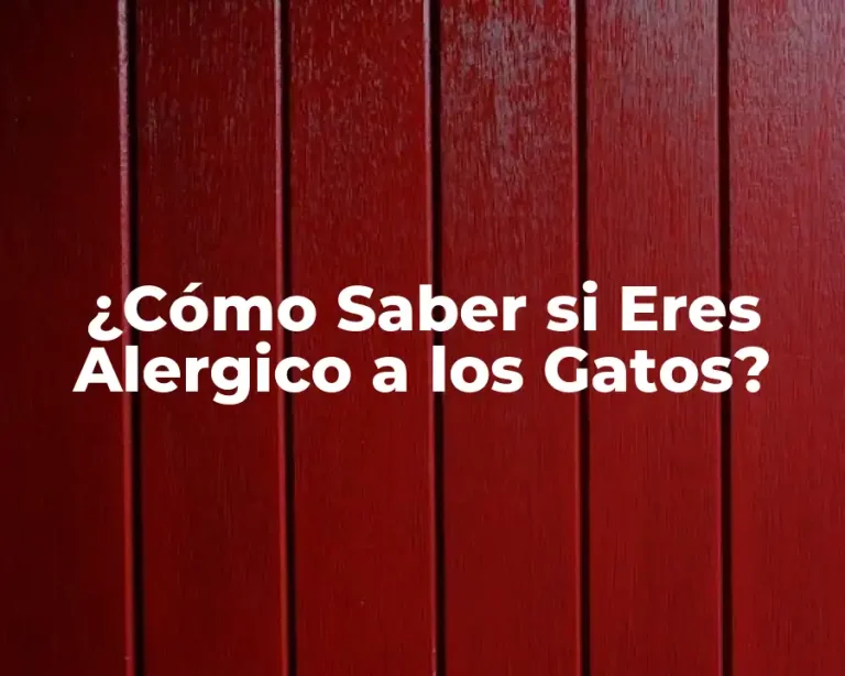 ¿Cómo Saber si Eres Alergico a los Gatos?