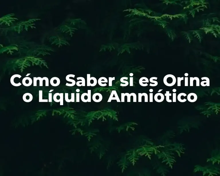 Cómo Saber si es Orina o Líquido Amniótico