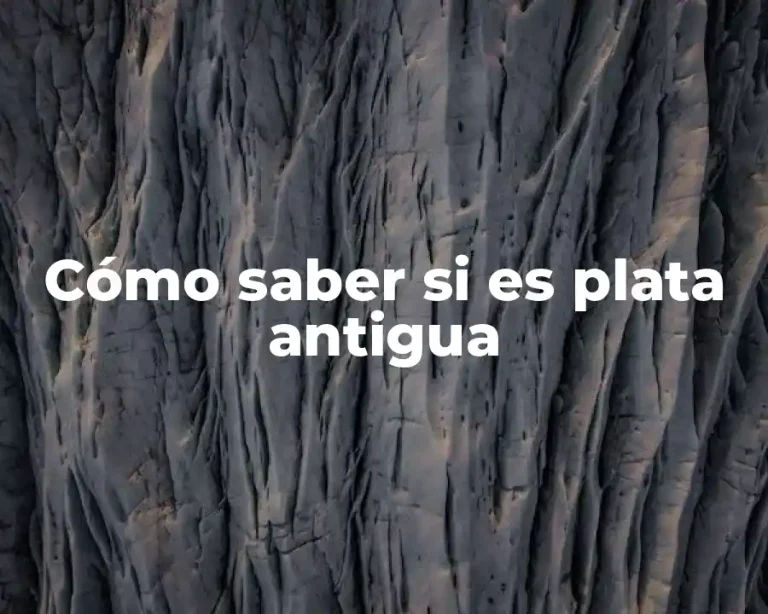 Cómo saber si es plata antigua