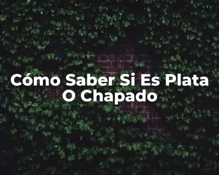 Cómo Saber Si Es Plata O Chapado