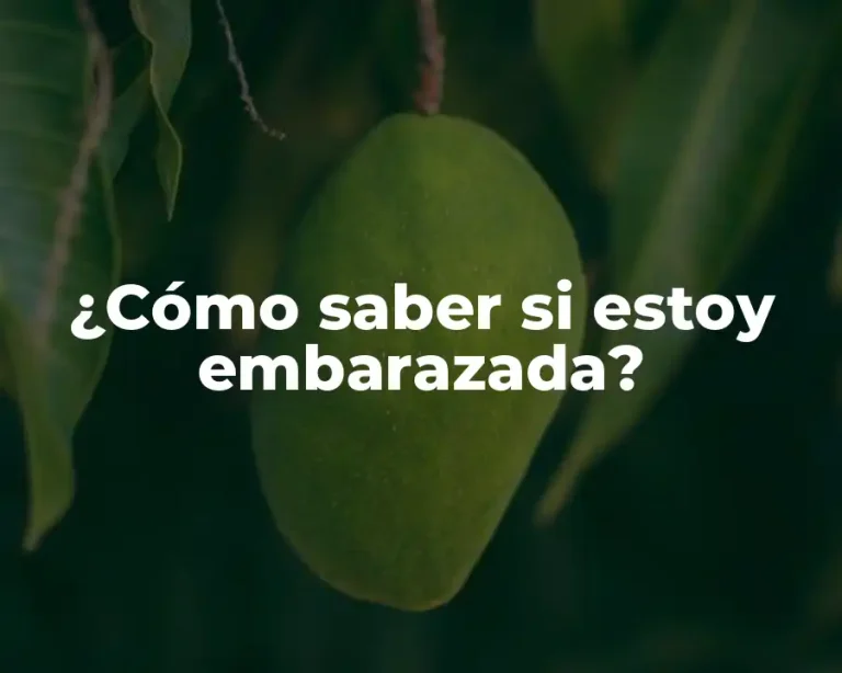 ¿Cómo saber si estoy embarazada?