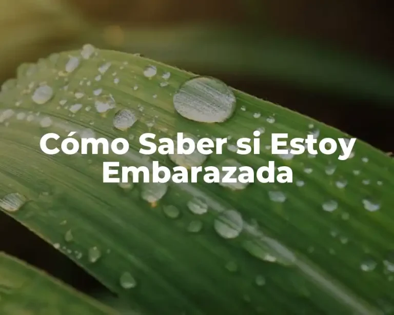 Cómo Saber si Estoy Embarazada