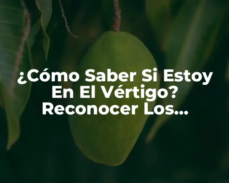 ¿Cómo Saber Si Estoy En El Vértigo? Reconocer Los Síntomas Y Signos