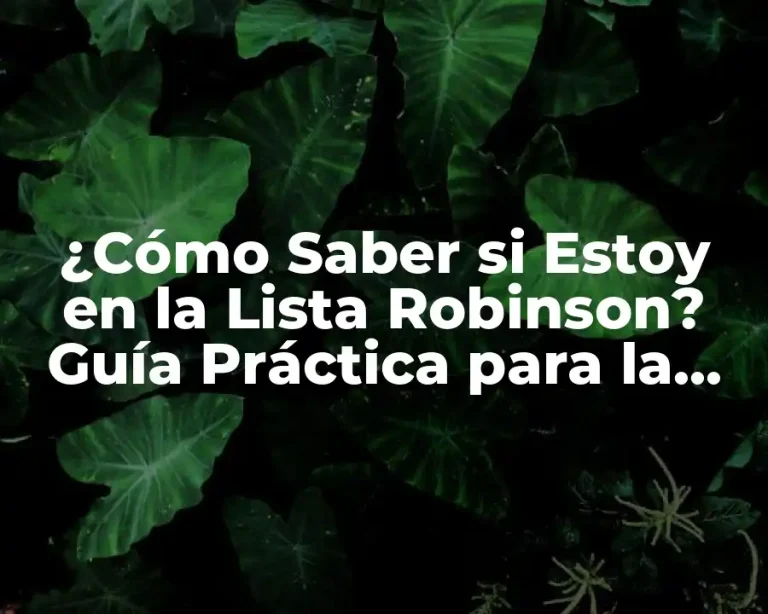 ¿Cómo Saber si Estoy en la Lista Robinson? Guía Práctica para la Privacidad