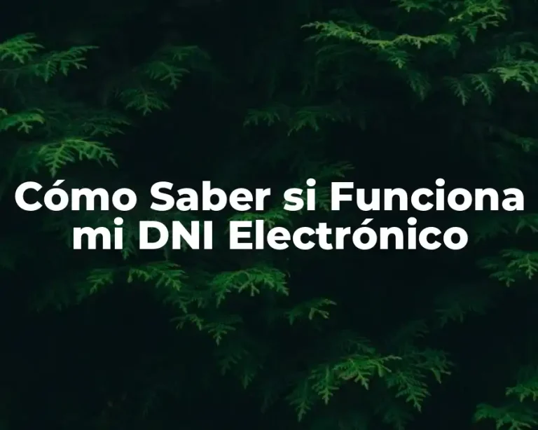 Cómo Saber si Funciona mi DNI Electrónico