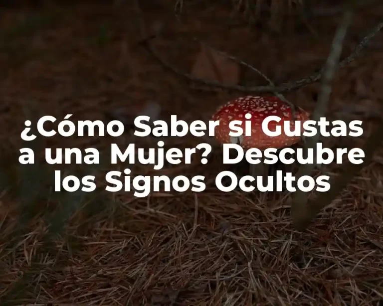 ¿Cómo Saber si Gustas a una Mujer? Descubre los Signos Ocultos