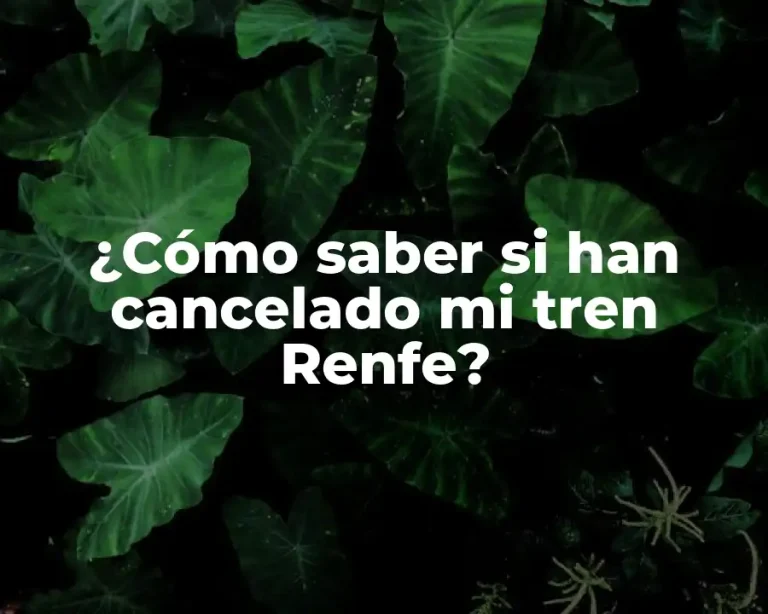 ¿Cómo saber si han cancelado mi tren Renfe?