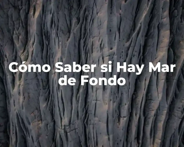 Cómo Saber si Hay Mar de Fondo
