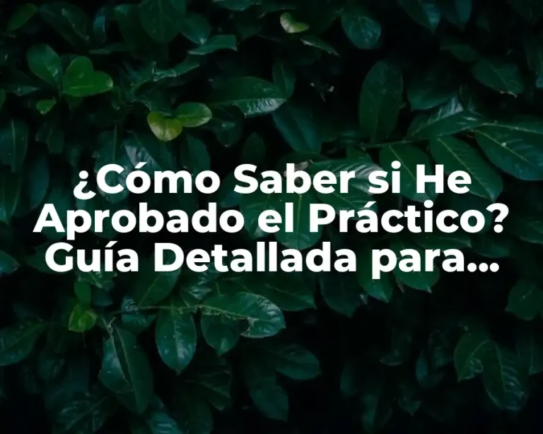 ¿Cómo Saber si He Aprobado el Práctico? Guía Detallada para Alumnos Inquietos