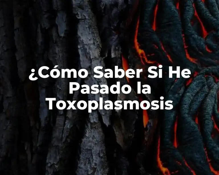 ¿Cómo Saber Si He Pasado la Toxoplasmosis