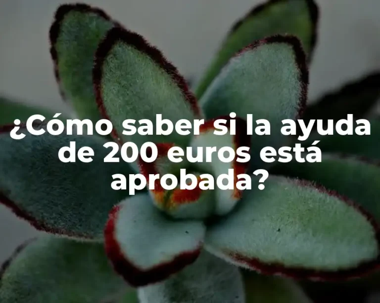 ¿Cómo saber si la ayuda de 200 euros está aprobada?