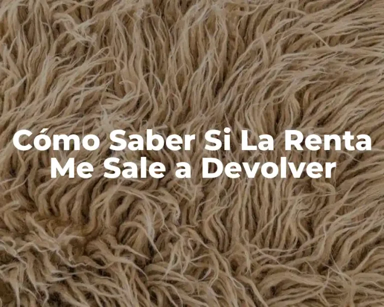 Cómo Saber Si La Renta Me Sale a Devolver