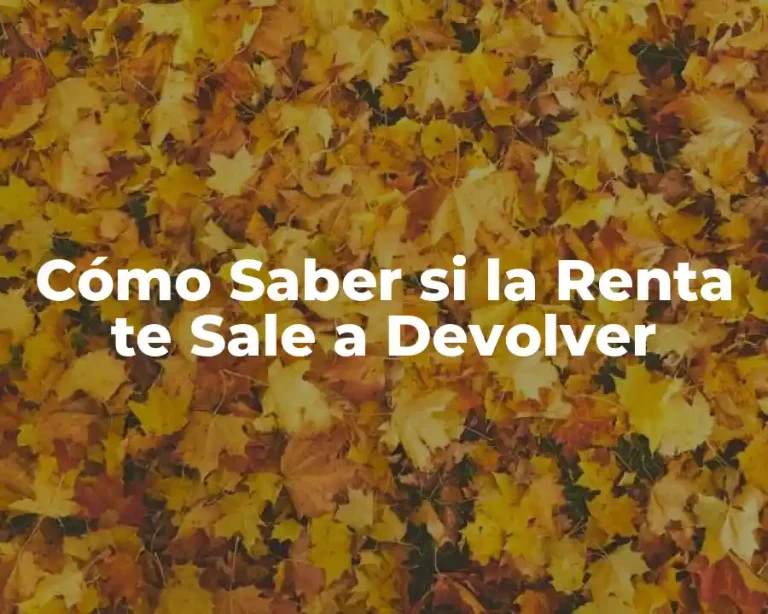 Cómo Saber si la Renta te Sale a Devolver
