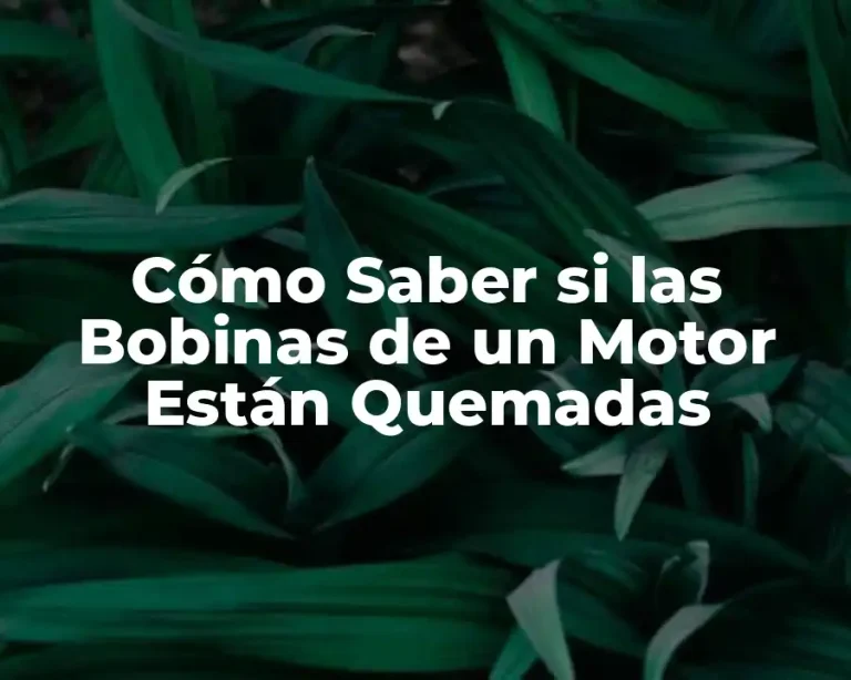Cómo Saber si las Bobinas de un Motor Están Quemadas