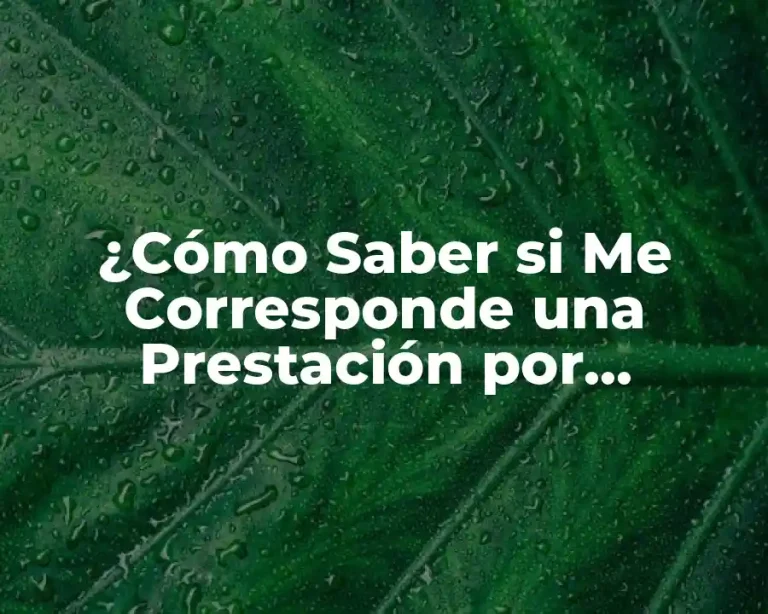 ¿Cómo Saber si Me Corresponde una Prestación por Desempleo?