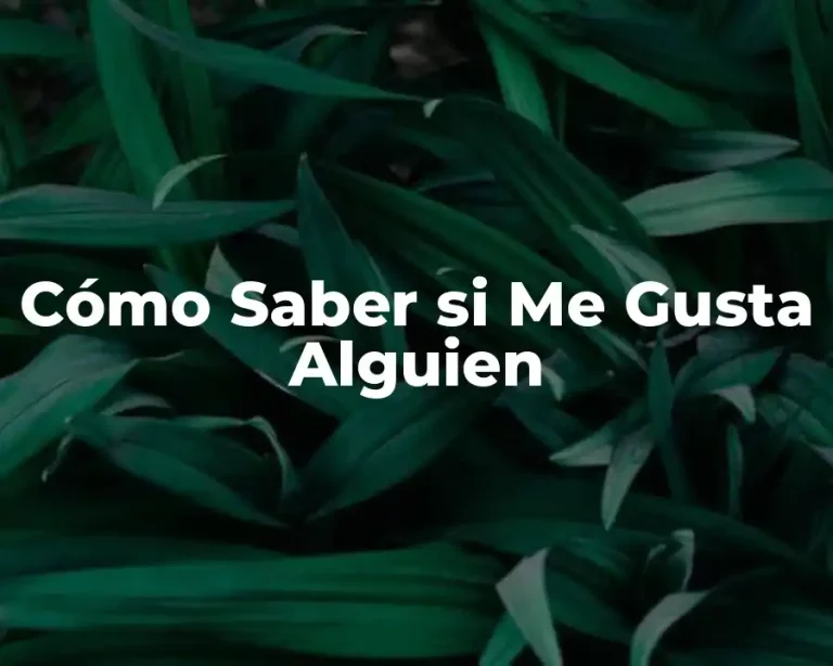 Cómo Saber si Me Gusta Alguien