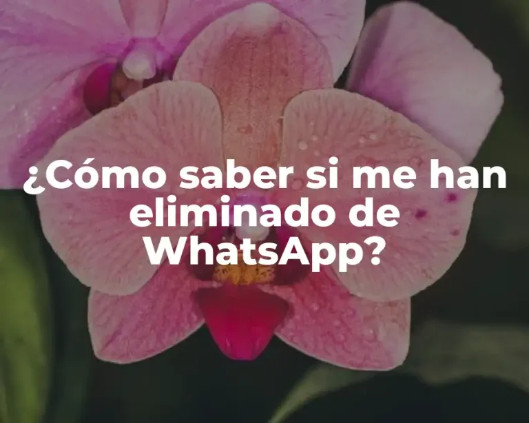 ¿Cómo saber si me han eliminado de WhatsApp?