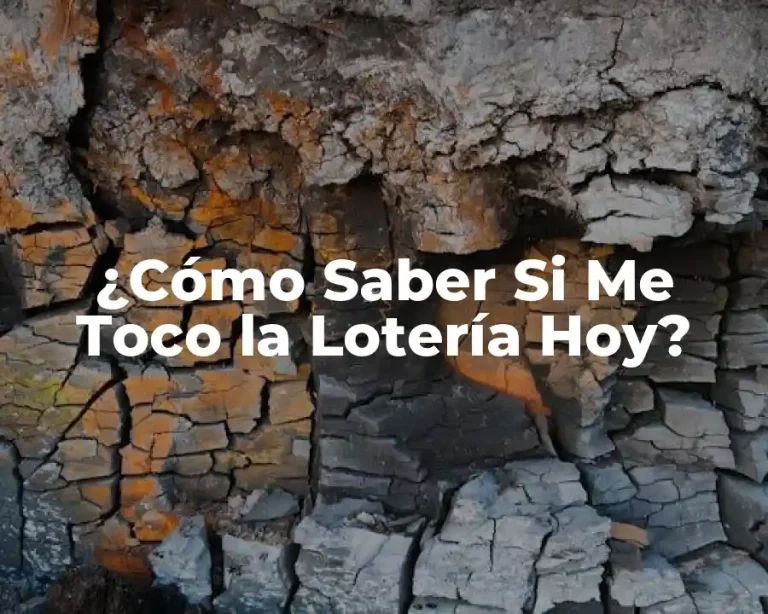 ¿Cómo Saber Si Me Toco la Lotería Hoy?
